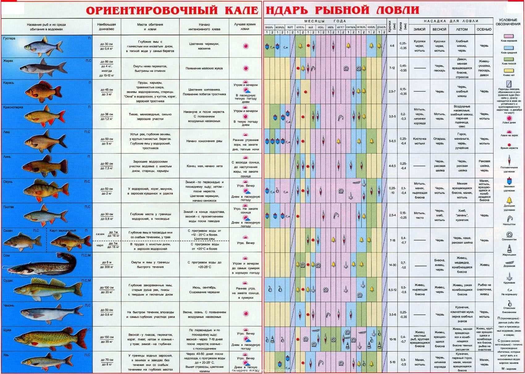 Какая рыба носит имя человека ответ