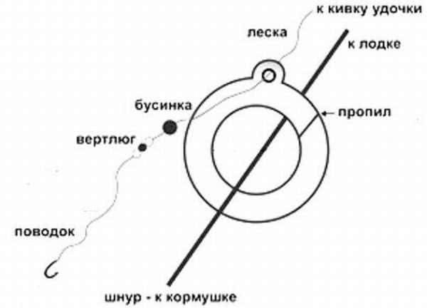 Ловля леща на кольцо волга